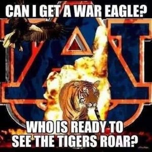 Meet your Posher, Mitzi